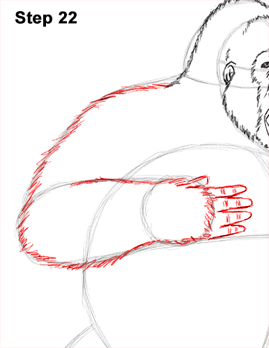 Draw Gorilla Silverback Aggressive 22