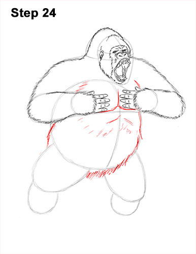 Draw Gorilla Silverback Aggressive 24