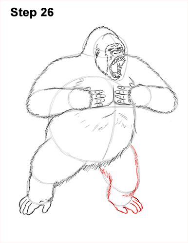 Draw Gorilla Silverback Aggressive 26