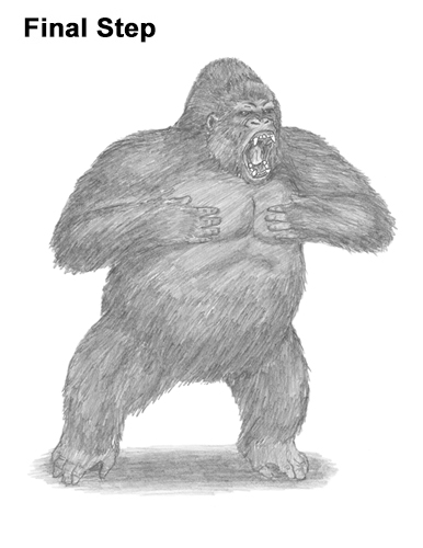 Draw Gorilla Silverback Aggressive