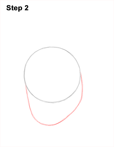 How to Draw a Gorilla Head Face Portrait 2
