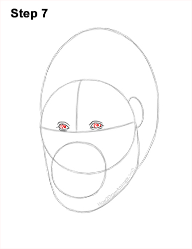 How to Draw a Gorilla Head Face Portrait 7