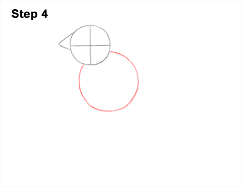 How to Draw a Lady Gouldian Rainbow Finch Bird 4