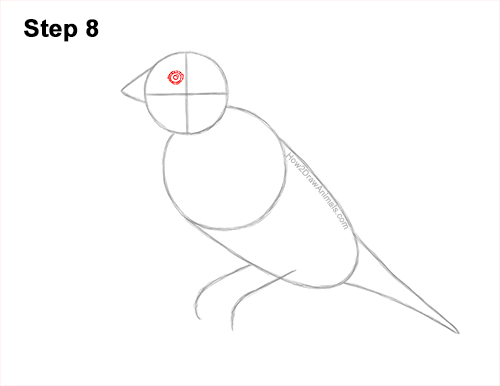 Draw a Gould's Finch Bird 8 How to Draw a Lady Gouldian Rainbow Finch Bird 8