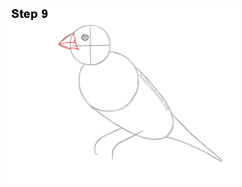 Draw a Gould's Finch Bird 9 How to Draw a Lady Gouldian Rainbow Finch Bird 9