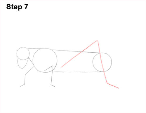 How to Draw Grasshopper Insect Bug 7