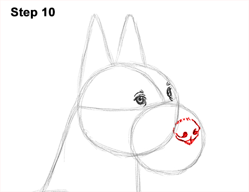 How to Draw a Tall Great Dane Dog 10