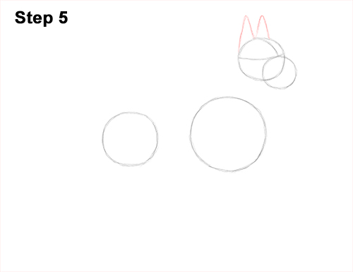 Draw Great Dane Dog 5 How to Draw a Tall Great Dane Dog 5