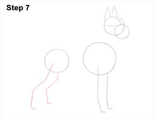 How to Draw a Tall Great Dane Dog 7