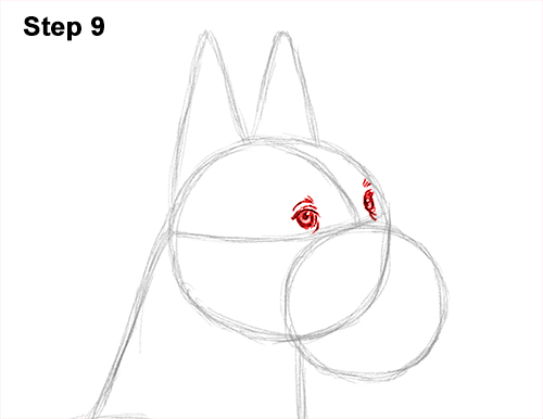 How to Draw a Tall Great Dane Dog 9