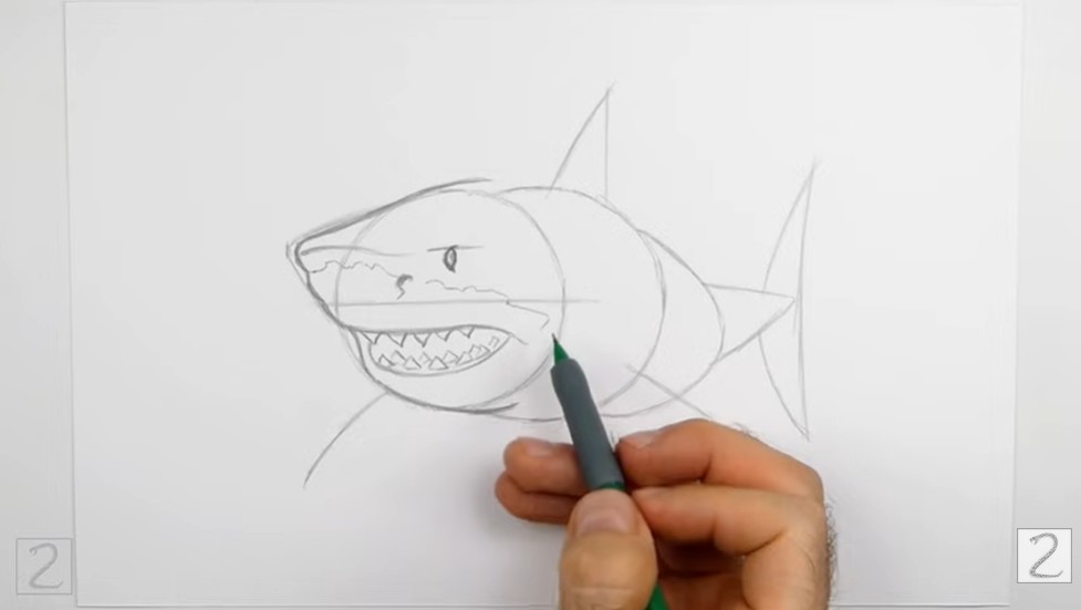 Draw the Facial Features How to Draw a Shark Draw the Facial Features