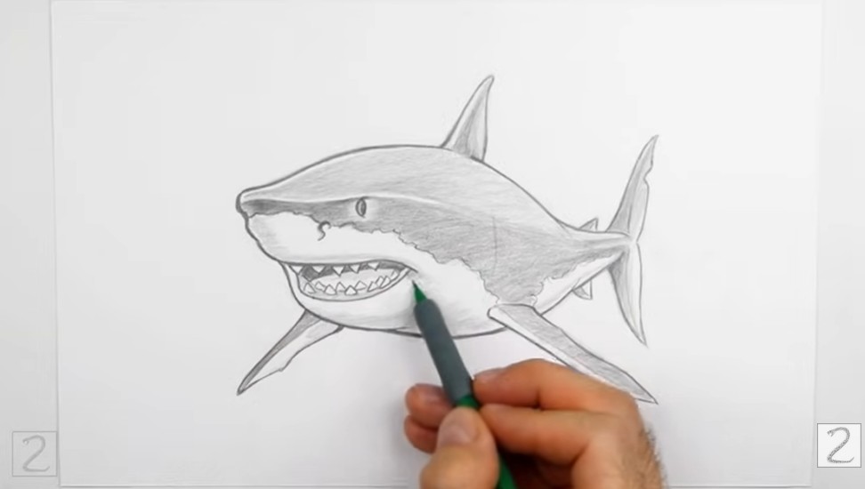 Finish Details and Shading How to Draw a Shark Finish Details and Shading