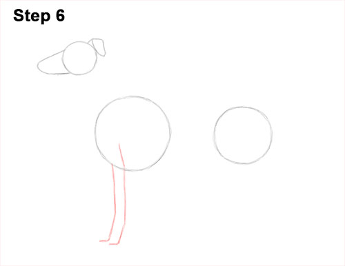 How to draw a Greyhound Dog 6 How to Draw Italian Greyhound Whippet Pupppy Dog 6