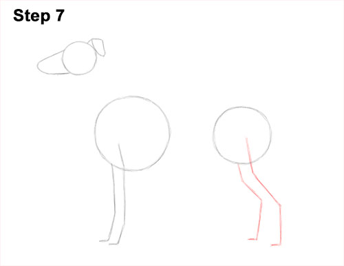 How to draw a Greyhound Dog 7 How to Draw Italian Greyhound Whippet Pupppy Dog 7