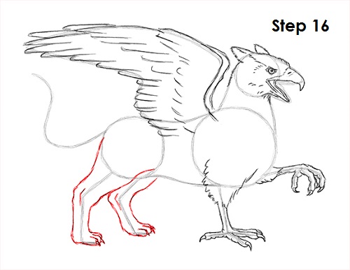 Draw Griffin 16
