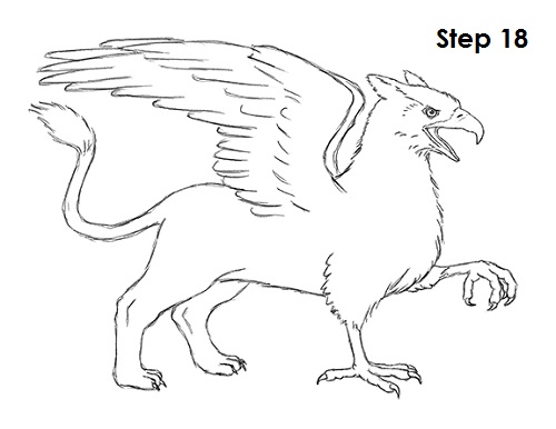 Draw Griffin 18