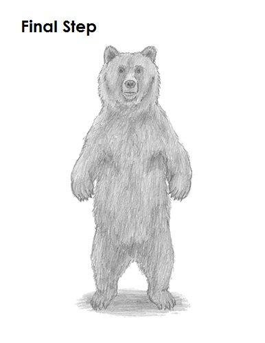 Draw Grizzly Bear Last