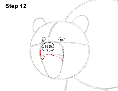 Grizzly Bear Roaring 12 Draw a Growling Grizzly Bear Walking 12