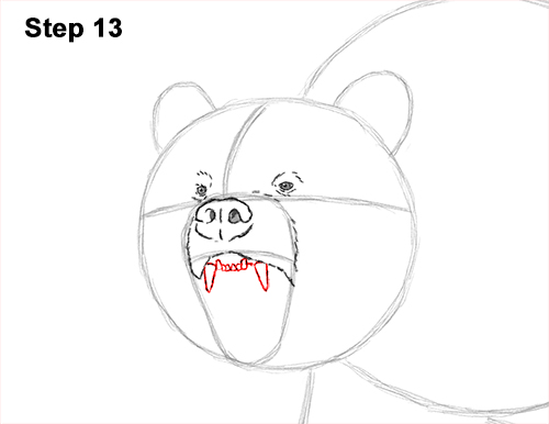 Grizzly Bear Roaring 13 Draw a Growling Grizzly Bear Walking 13