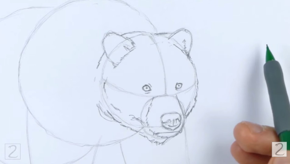 Draw the Facial Features