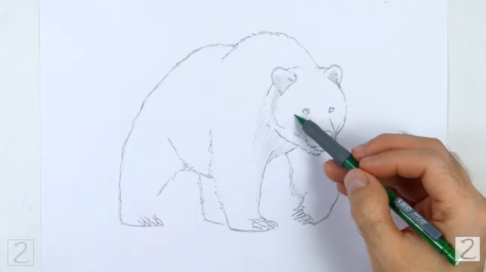 Clean Up Your Sketch and Begin Shading