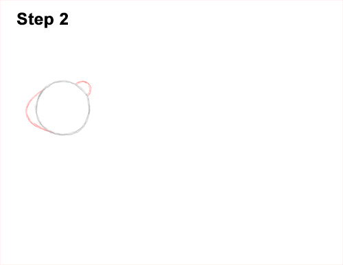 Draw a Groundhog Woodchuck 2 How to Draw a Groundhog Woodchuck Side View 2