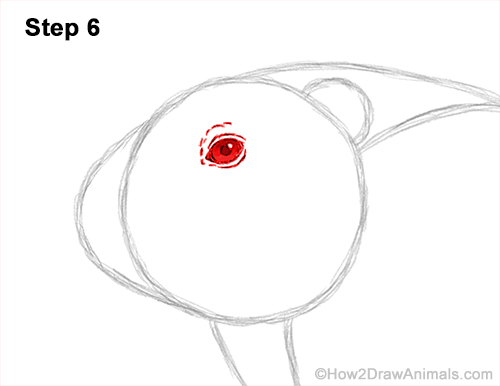 Draw a Groundhog Woodchuck 6 How to Draw a Groundhog Woodchuck Side View 6
