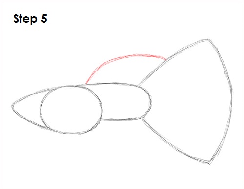 Guppy Fish Drawing 5 Draw Guppy Fish 5