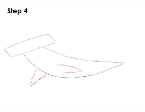 Hammerhead Shark Drawing 4 Draw Hammerhead Shark 4