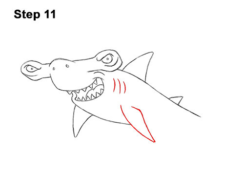 Draw Cartoon Hammerhead Shark 11 How to Draw a Cool Cartoon Hammerhead Shark 11