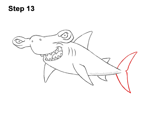 Draw Cartoon Hammerhead Shark 13 How to Draw a Cool Cartoon Hammerhead Shark 13