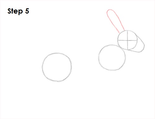 Hare Jackrabbit Drawing 5 Draw Hare Jackrabbit 5