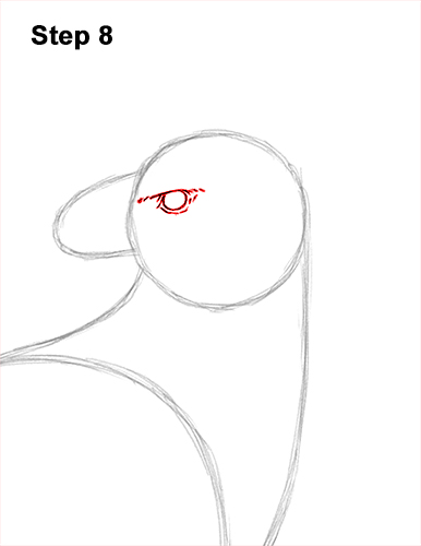 How to Draw an American Harpy Eagle Bird 8