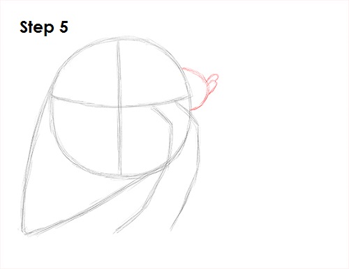 Hermit Crab 5 Draw Hermit Crab 5
