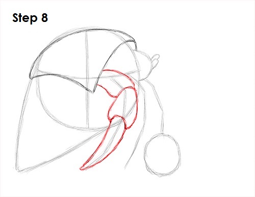 Hermit Crab 8 Draw Hermit Crab 8