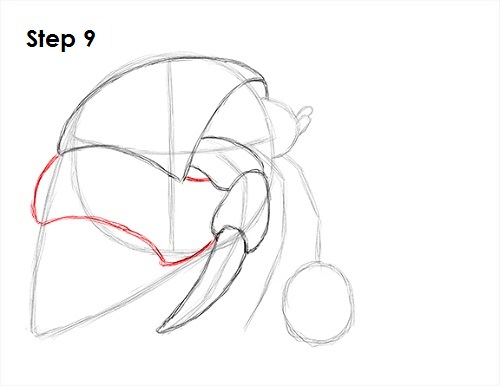 Hermit Crab 9 Draw Hermit Crab 9