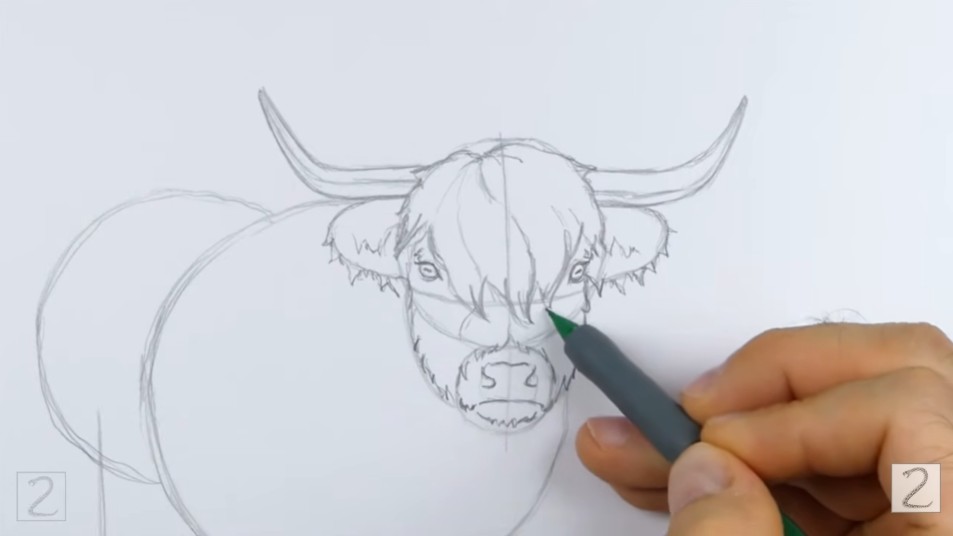 Draw the Facial Features