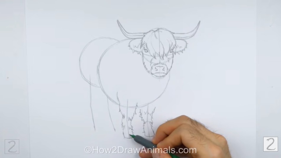 Add the Front Legs