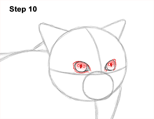 Draw a Himalayan Cat Kitten Side 10 How to Draw Himalayan Cat Kitten Seal Point 10