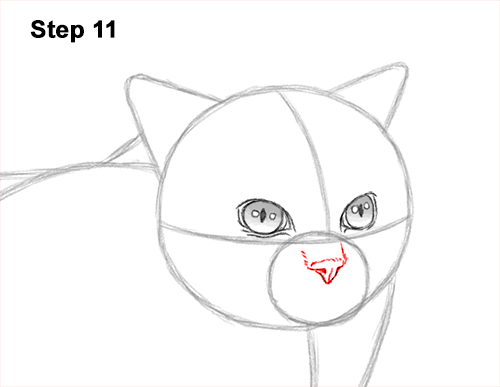 Draw a Himalayan Cat Kitten Side 11 How to Draw Himalayan Cat Kitten Seal Point 11