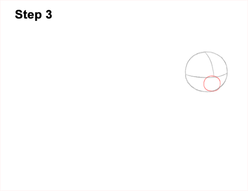 Draw a Himalayan Cat Kitten Side 3 How to Draw Himalayan Cat Kitten Seal Point 3