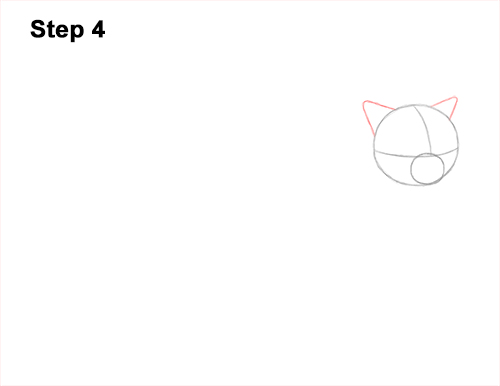 Draw a Himalayan Cat Kitten Side 4 How to Draw Himalayan Cat Kitten Seal Point 4