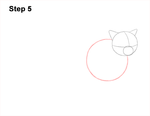 Draw a Himalayan Cat Kitten Side 5 How to Draw Himalayan Cat Kitten Seal Point 5