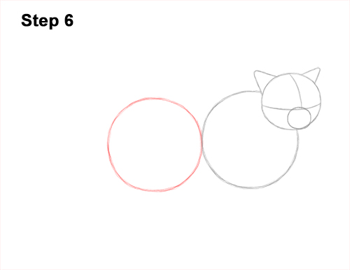 Draw a Himalayan Cat Kitten Side 6 How to Draw Himalayan Cat Kitten Seal Point 6