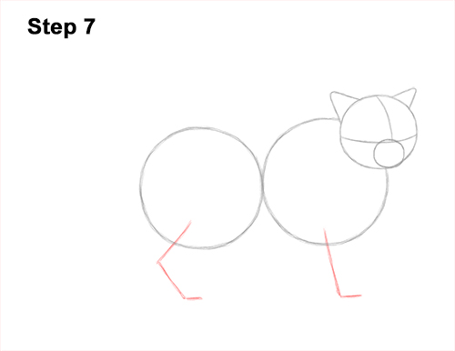 Draw a Himalayan Cat Kitten Side 7 How to Draw Himalayan Cat Kitten Seal Point 7