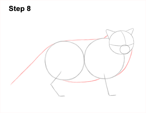 Draw a Himalayan Cat Kitten Side 8 How to Draw Himalayan Cat Kitten Seal Point 8