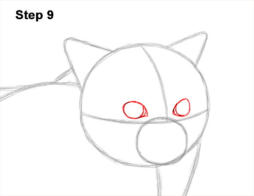 Draw a Himalayan Cat Kitten Side 9 How to Draw Himalayan Cat Kitten Seal Point 9