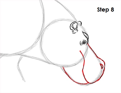 Draw Hippopotamus 8