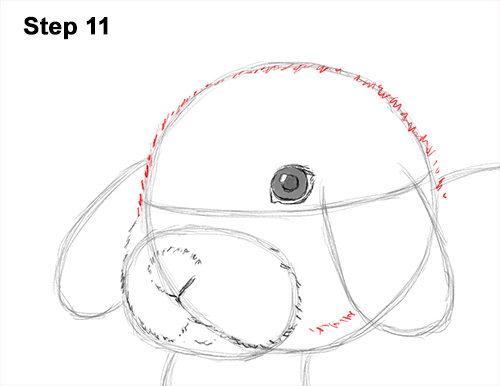 Holland Lop Bunny Drawing 11 Draw Holland Lop Rabbit 11