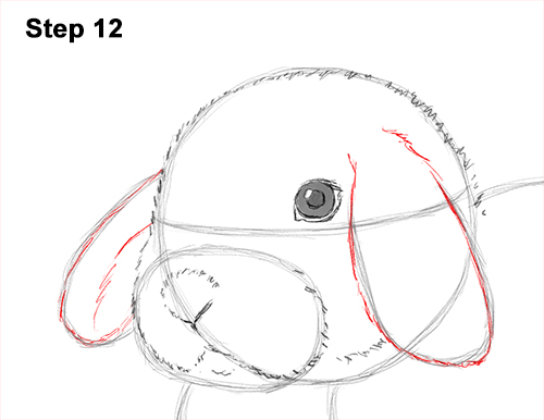 Holland Lop Bunny Drawing 12 Draw Holland Lop Rabbit 12